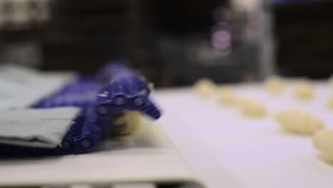 uncooked dough rolled into croissant shap on an automated convert belt inside a bread factory