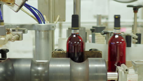 bottles of red wine move on a conveyor belt 5