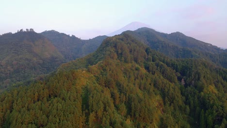 Luftaufnahme-Des-Endlosen-Waldes-Auf-Den-Hügeln-Und-Im-Tal-Am-Morgen