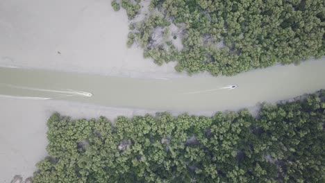 top view fishing boat move into the mangrove swamp area from sea.