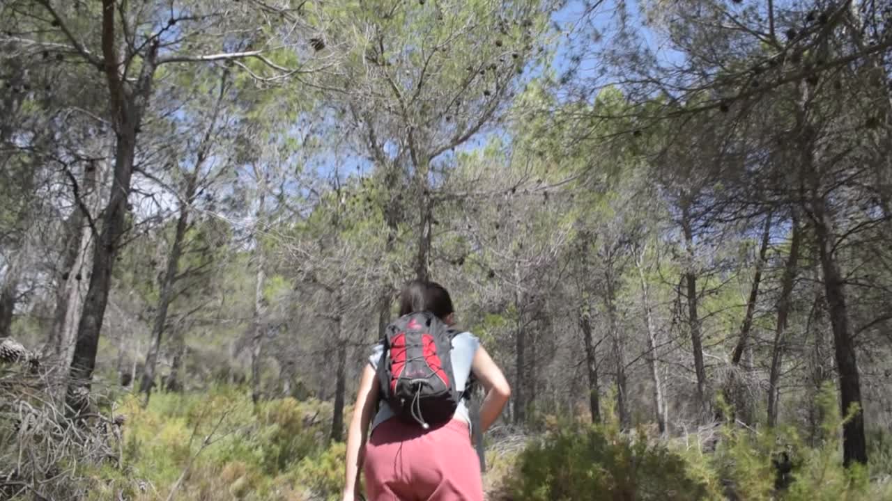 joven caminando en el bosque de pinos