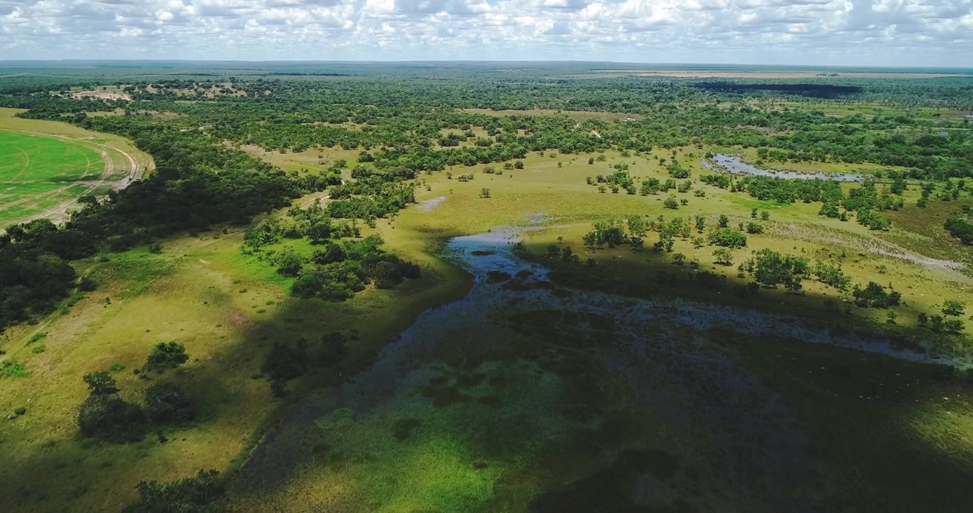 Seasonal floodplain wetland with shallow freshwater pools, cerrado grassland and grazing pasture within the Urucuia River basin near Arinos, Minas Gerais, Brazil. Drone aerial flyover shot.