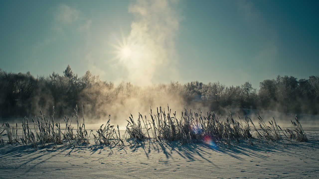 Mattina invernale cinematografica su una riva di fiume fumante con canne brinate e un brillante bagliore solare in Lituania. Vapore d'aria fredda si alza sopra la neve, creando una scena naturale calma e suggestiva.