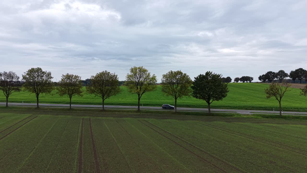 Aerial lateral shot of car on rural tree-lined road during cloudy day in autumn season. American countryside farmland with growing plants. Wide shot. Peaceful scenery in October, US