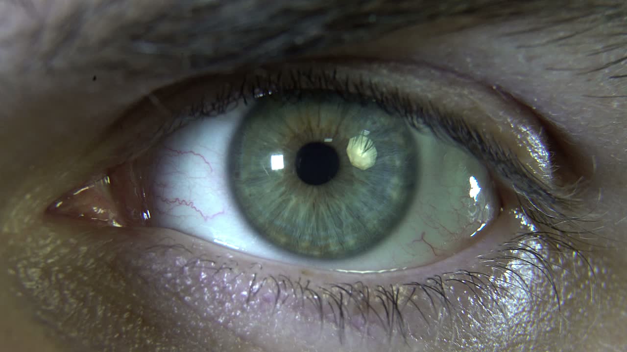 primer plano de un macho de ojo verde