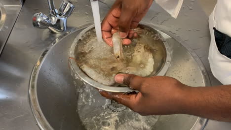 Close-up: Young chef rinses big prawns in stainless steel kitchen sink