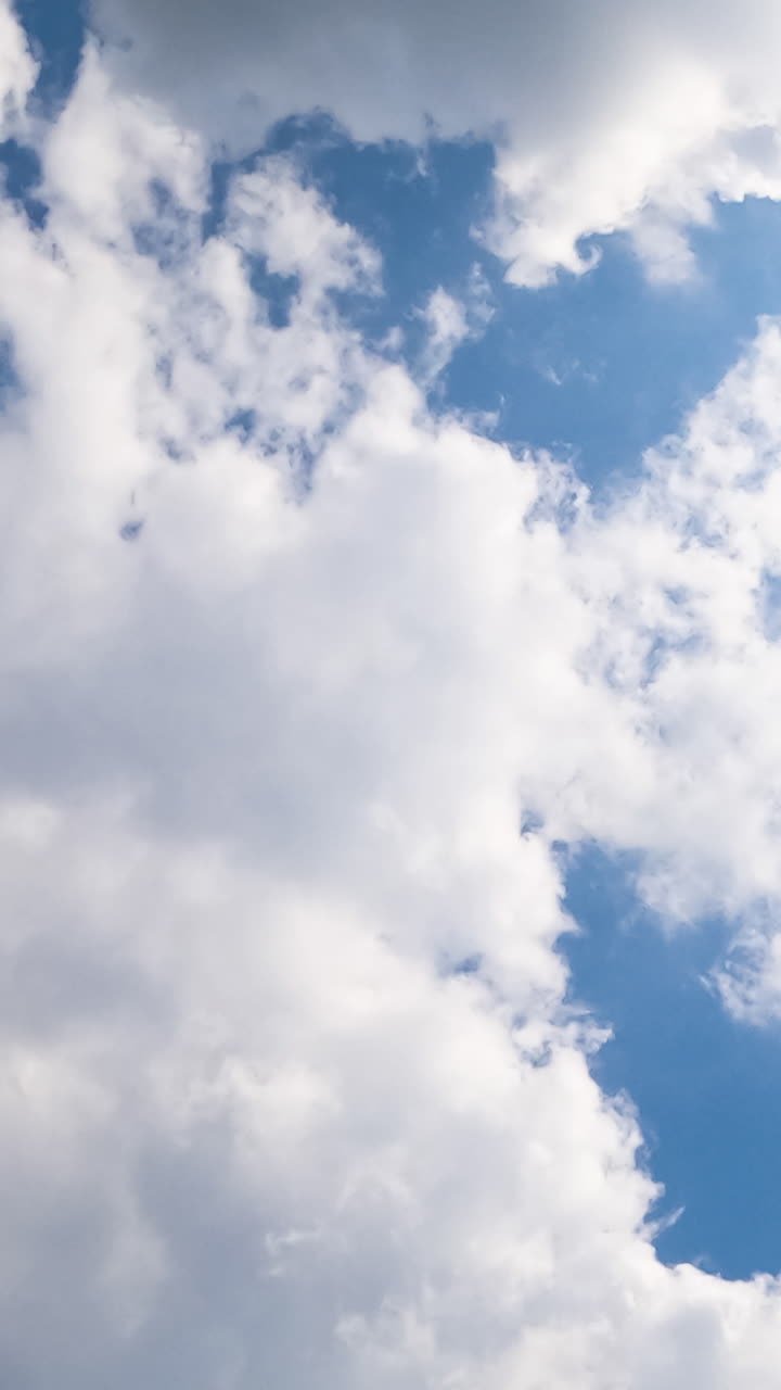 Lovely little white clouds turning into a grey cloudscape. Rain clouds accumulation in the atmosphere. View from below. Timelapse. Vertical video
