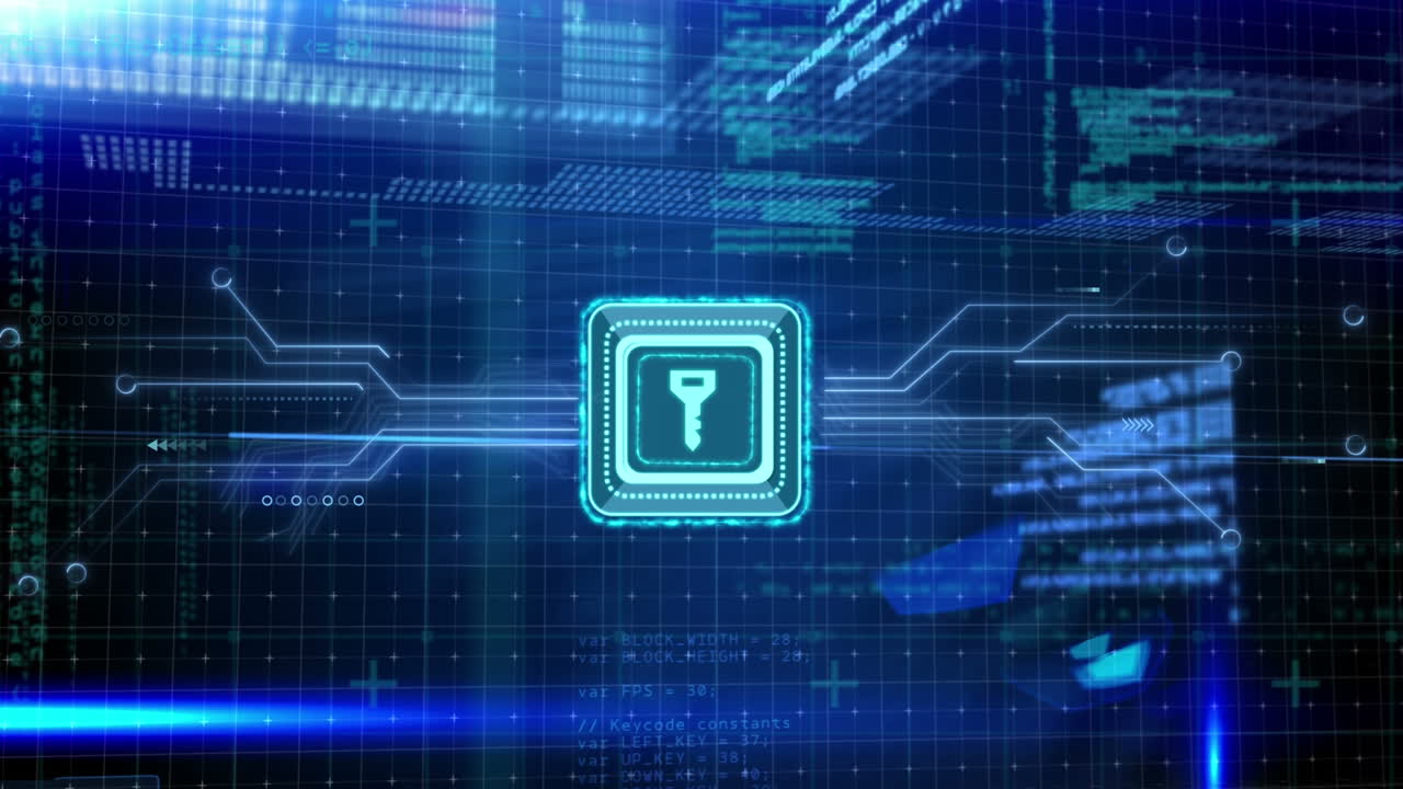 Animation of data processing with online security key over computer circuit board