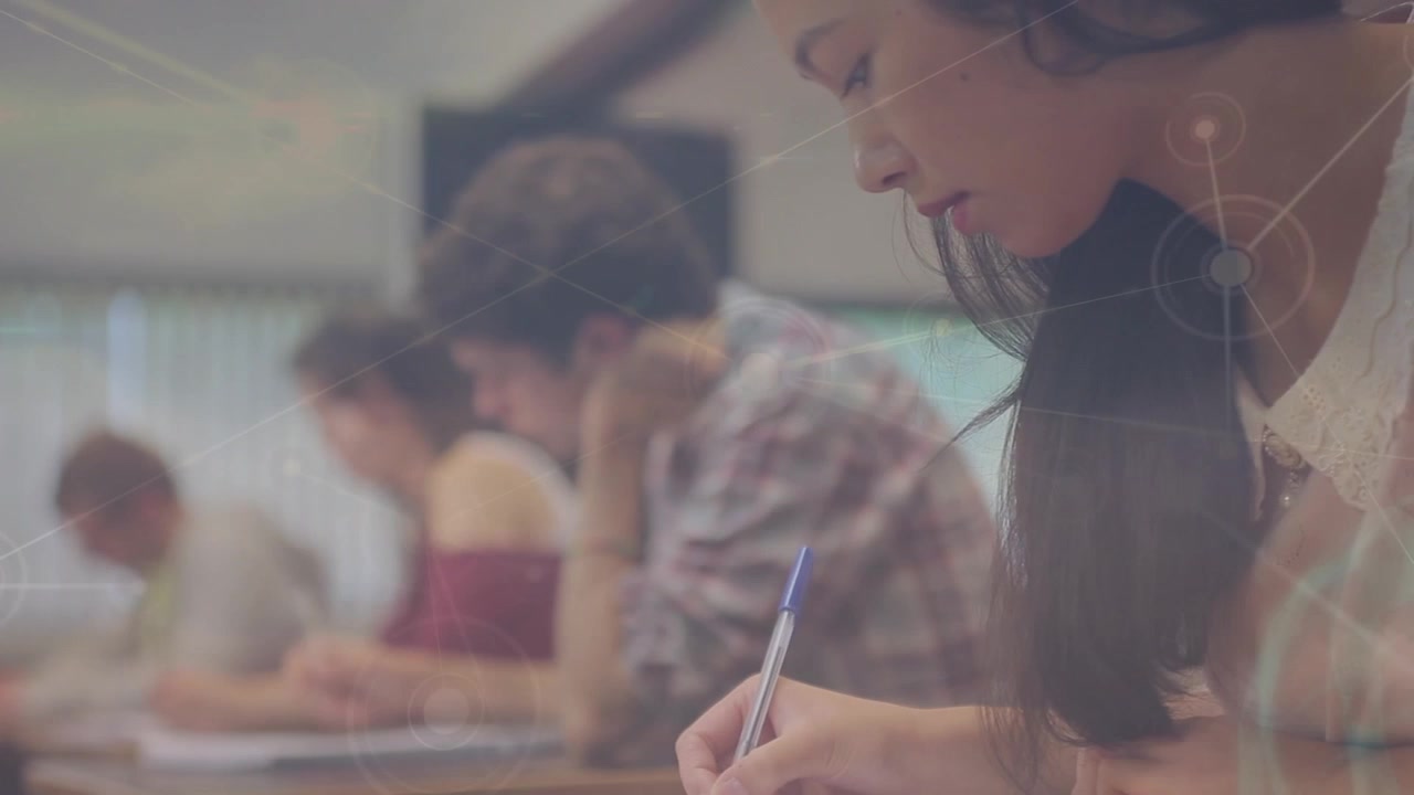 Animazione di una rete di connessioni su studenti di diverse etnie all'università