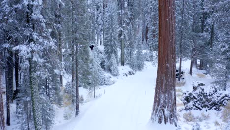 Aerial-4K-footage-of-Sequoia-National-Park-covered-in-snow-1