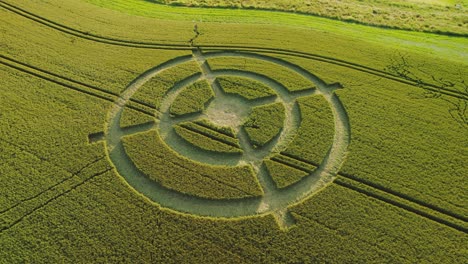 bizarre wheat field target crop circle design in green farmland aerial view orbiting right hackpen hill