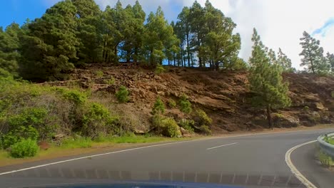 scenic drive up the mountain on a curvy road, driver pov, surrounded by tall mountains and green lush vegetation, timelapse, teide national park, tenerife, canary islands, spain, europe