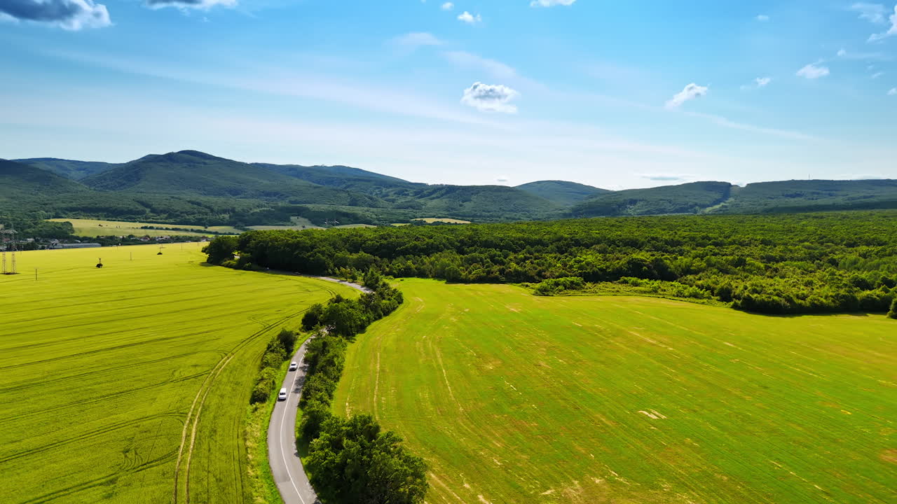 Lush green fields under a bright sky. Vast green fields stretch across a hilly landscape, dotted with trees and a clear blue sky overhead