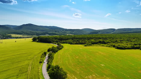 lush green fields under a bright sky. vast green fields stretch across a hilly landscape, dotted with trees and a clear blue sky overhead