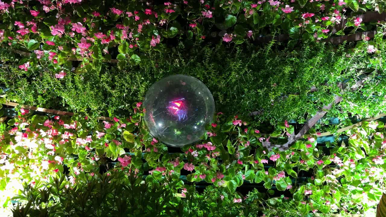 Colorful butterfly hologram projected near the Bund in Shanghai