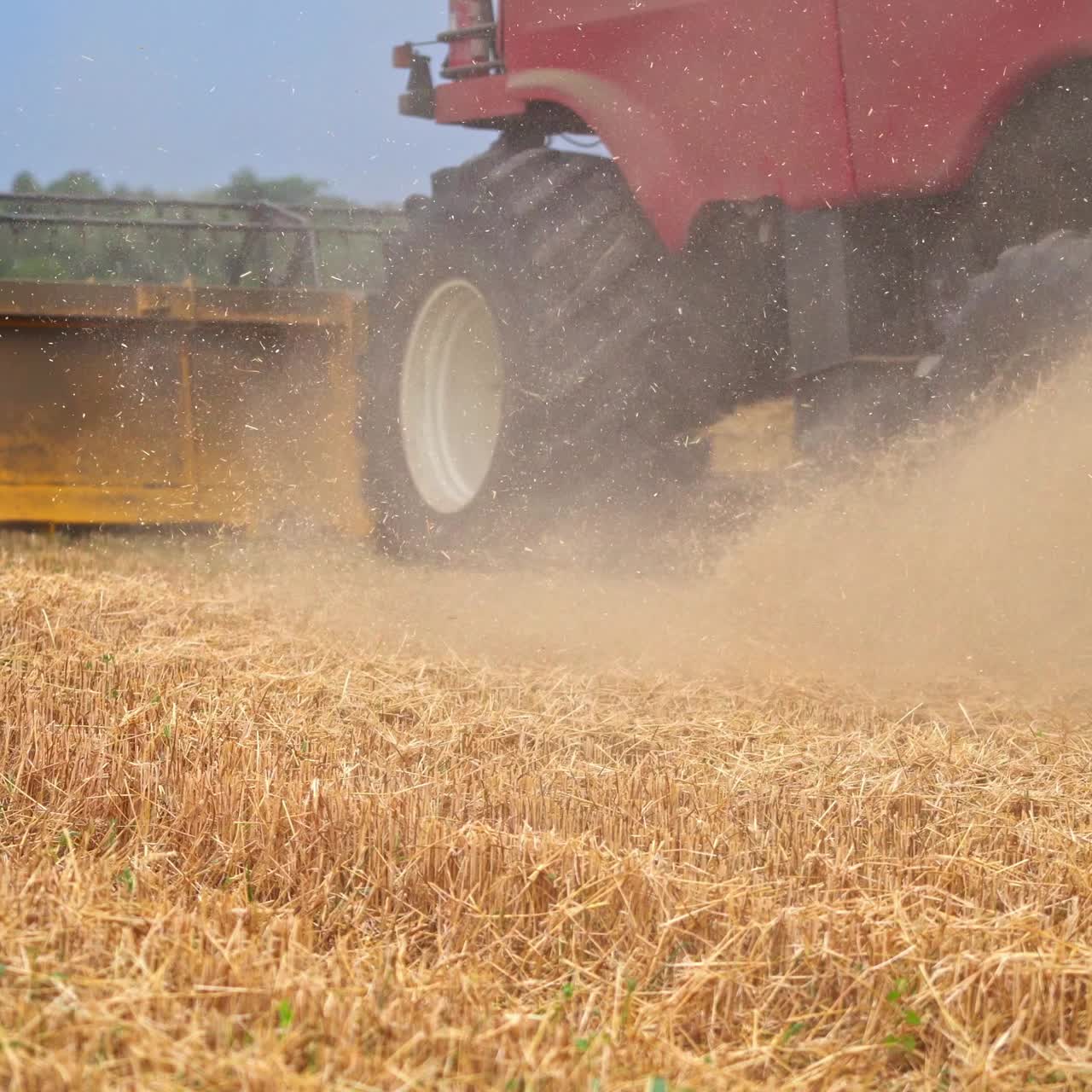 Harvester riding in the field. Huge wheels of a combine rotating quickly in the dust. Mowed wheat field close up