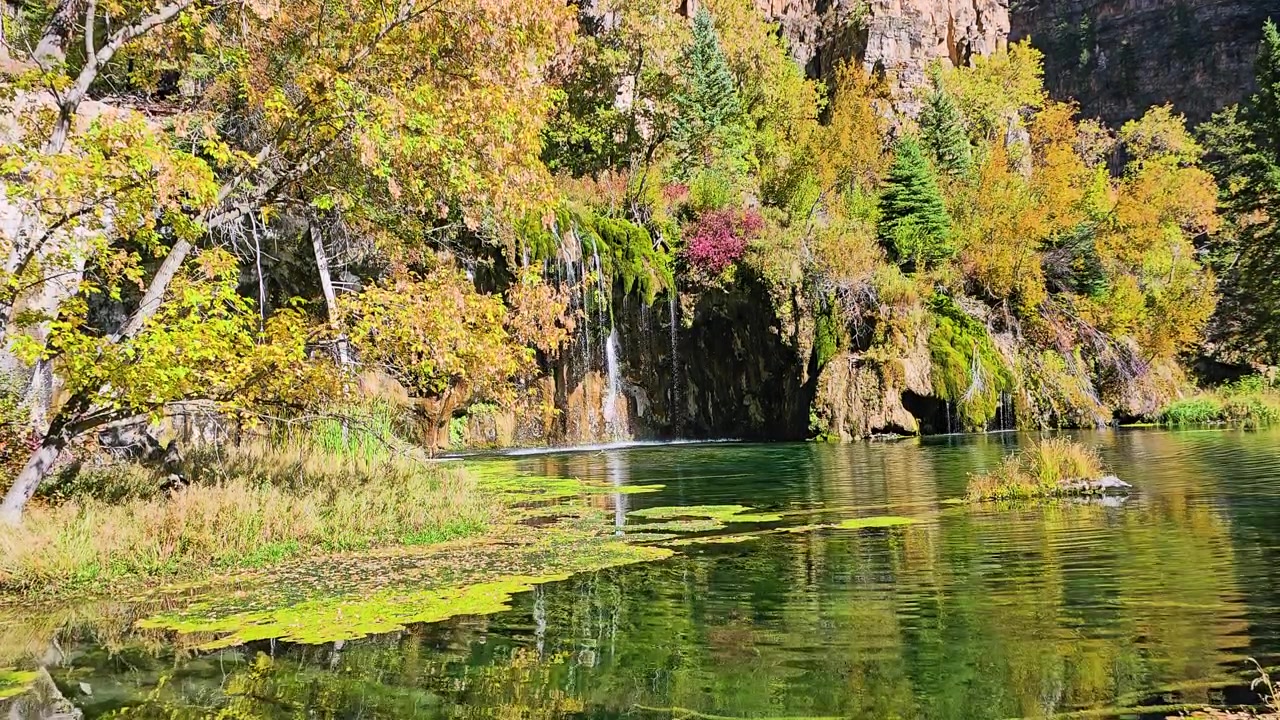 Piscina naturale di acqua dolce con riflessi color smeraldo, erbe dorate e delicati flussi di cascate che scorrono da muschio verde lussureggiante e sporgenze rocciose in un tranquillo ambiente autunnale