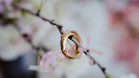 golden wedding rings on a blooming branch, symbolizing love and union