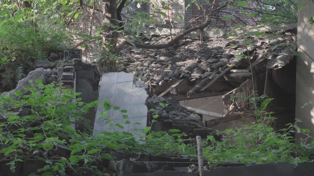 버려진 오래된 집의 지붕의 타일