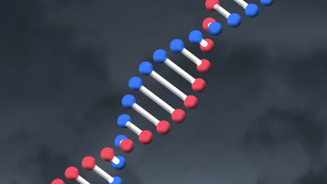 animación digital de la estructura del adn girando contra un fondo gris texturizado