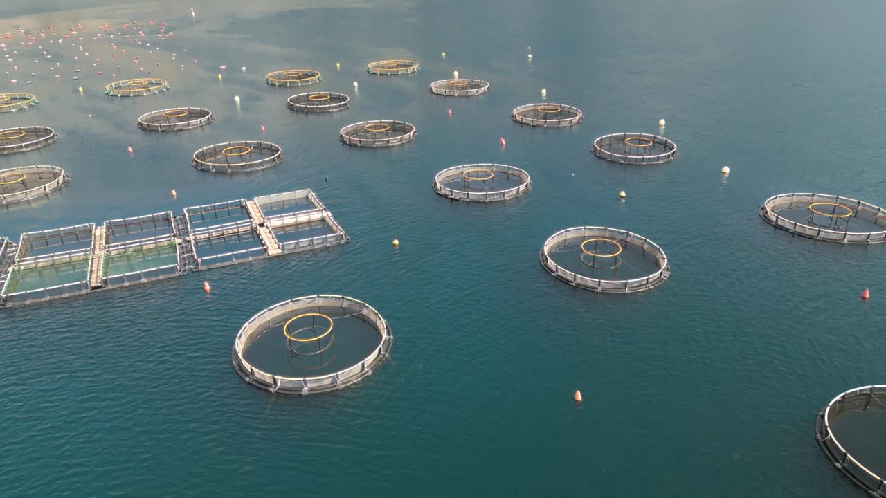 사람들이 먹을 수 있는 다양한 해산물을 생산하는 물고기 농장 위의 드론 영상