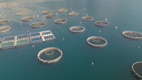 drone footage above fish farm producing various seafood for people to eat