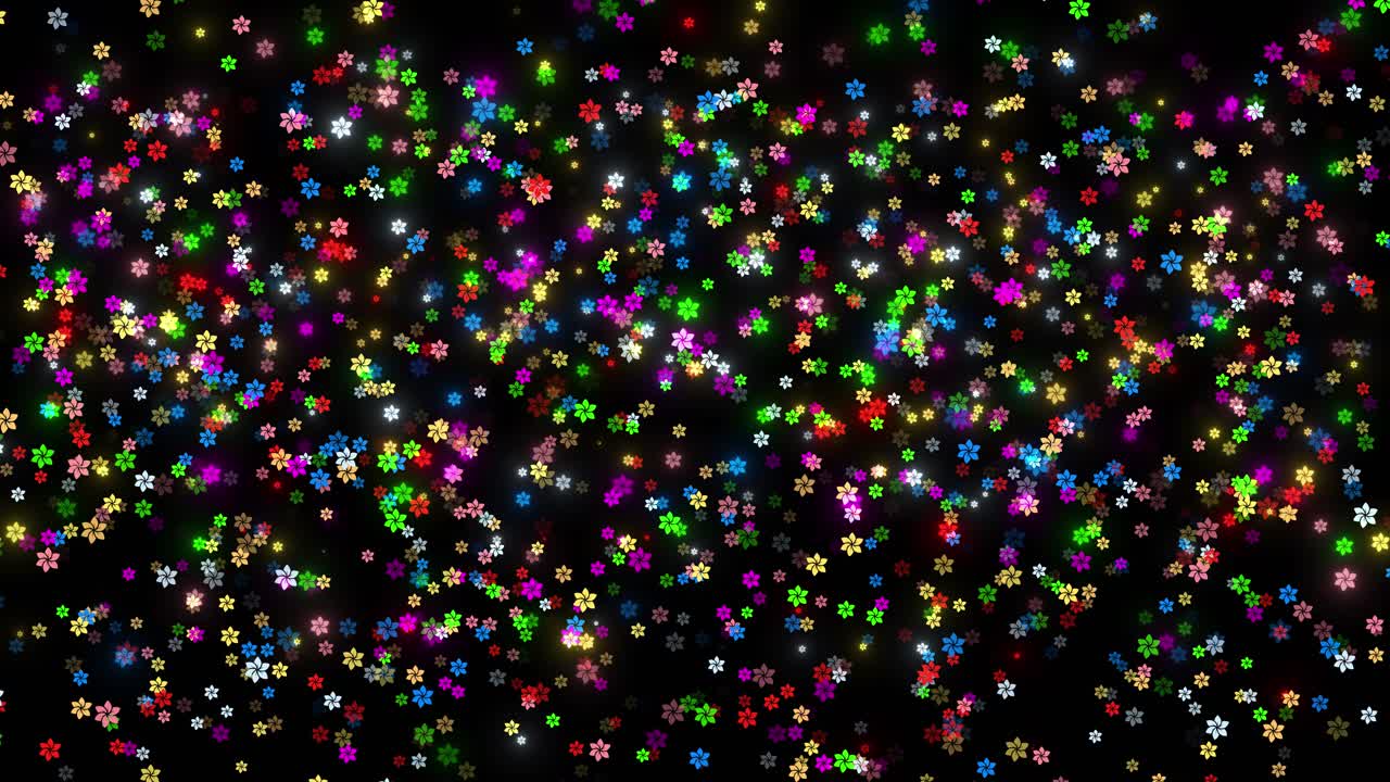 Beautiful vibrant pink cosmos happy spring flower right to left background closeup blossom adding