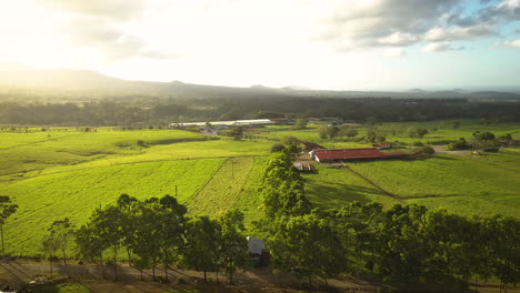 cinematic aerial view of lush tropical farmland in costa rica