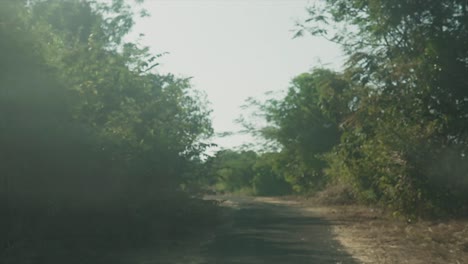 POV-shot-driving-along-a-rural-countryside,-the-setting-sun-casting-long-shadows-across-the-road-and-the-sunrays-breaking-through-the-surrounding-trees-creating-a-lens-flare,-Panjim,-India