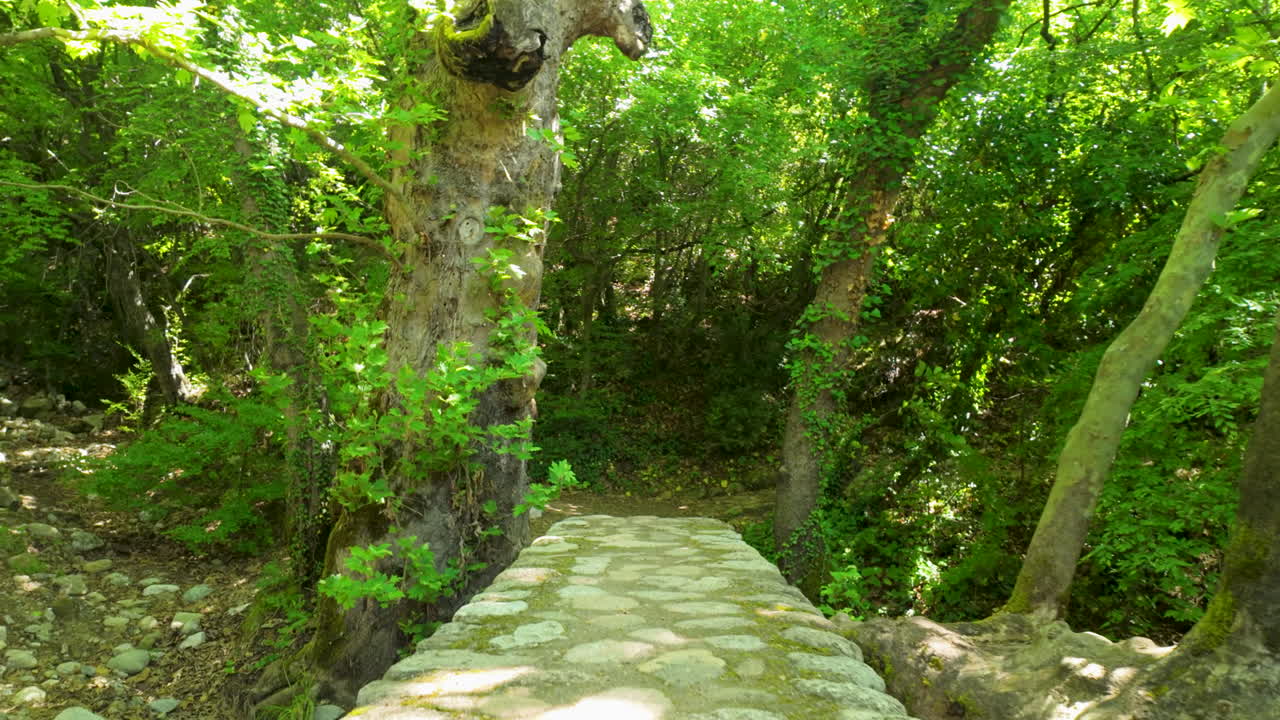 A small ancient stone bridge surrounded by lush green trees and dappled sunlight in a peaceful Greek woodland setting