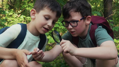 Two-kids-discovering-thing-in-the-forest