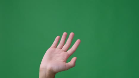 hand waving and gesturing hello over green screen