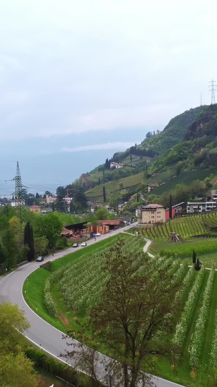 Vertical drone pulls away from SS 508 beside Castel Roncolo, unveiling terraced vineyards and cliffs above the Talvera stream in Bolzano, Trentino-Alto Adige, real time