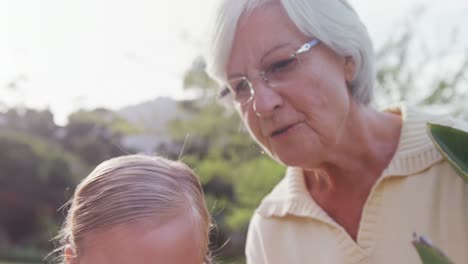 Grandmother-showing-flowers-to-little-girl-4K-4k