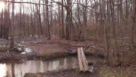 Shot-in-woods-going-over-creek-with-water