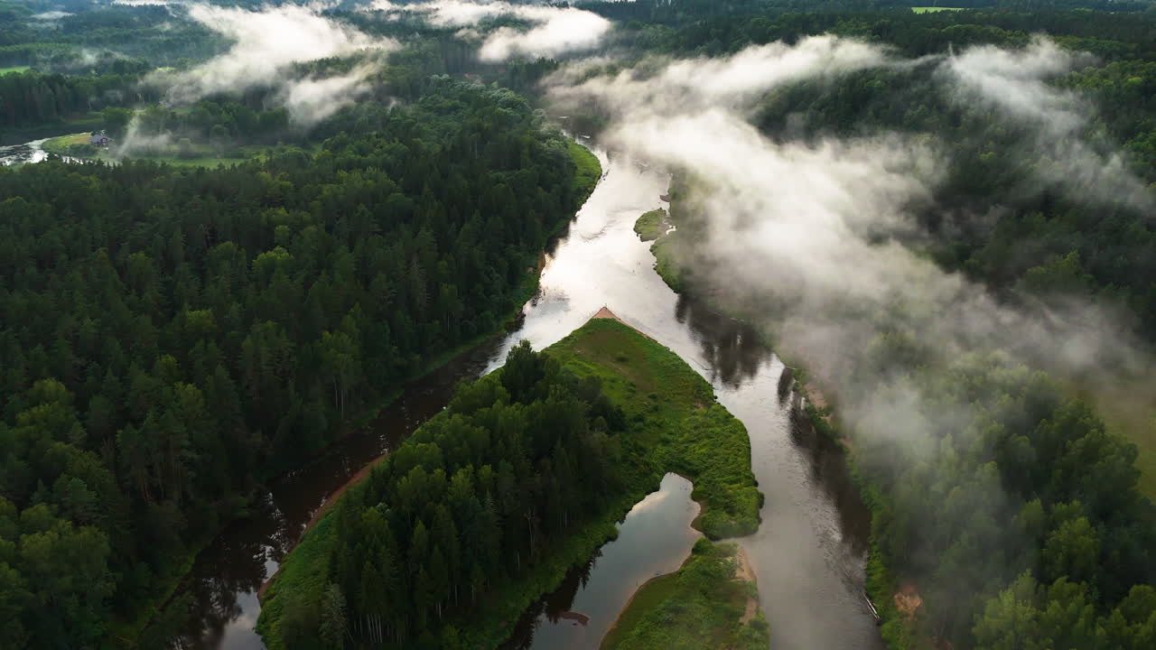 Aerial View of a Serene River in a Foggy Forest