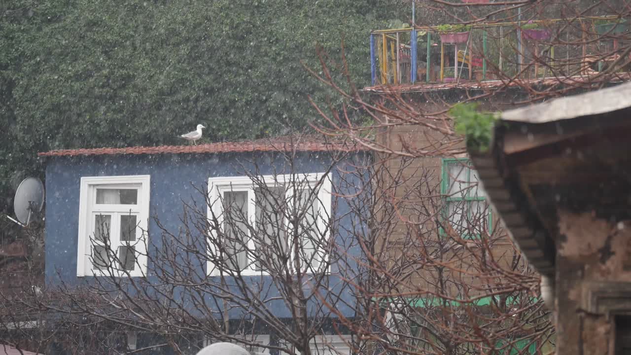 Snowy day in a small town