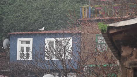 snowy day in a small town