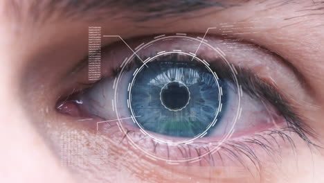 Close-up-woman-eye-with-hud-interface-macro-blue-futuristic-lines-of-code