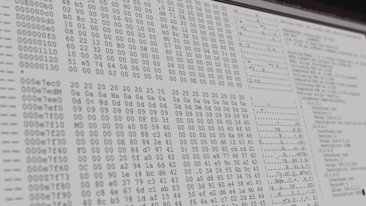 animación del procesamiento de datos en la pantalla gris de la computadora