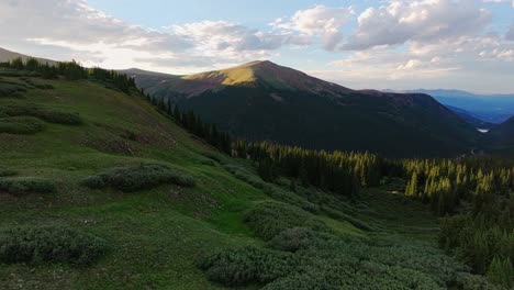 aerial dolly, shrub grass and pine tree conifer forest across massive colorado guanella pass expanse, stunning summer forest views