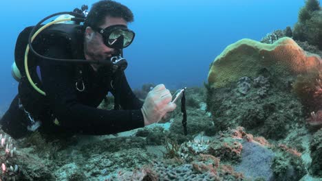 Meeresbiologe-Erforscht-Das-Great-Barrier-Reef,-Während-Er-Taucht-Und-Auf-Einer-Unterwassertafel-Schreibt