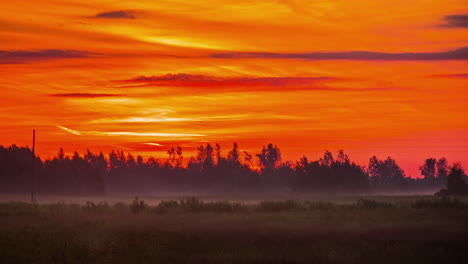 forest silhouetted by fiery orange sunset
