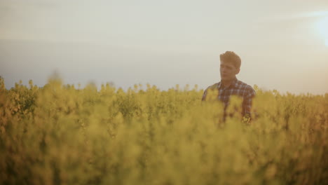 contemplative farmer amidst plants in farm