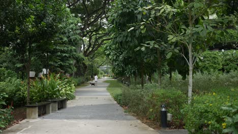 walking in the park in singapore