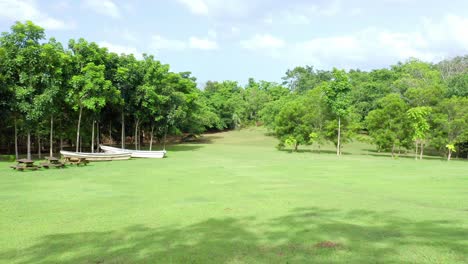low-level flight over green grassland in dominican republic