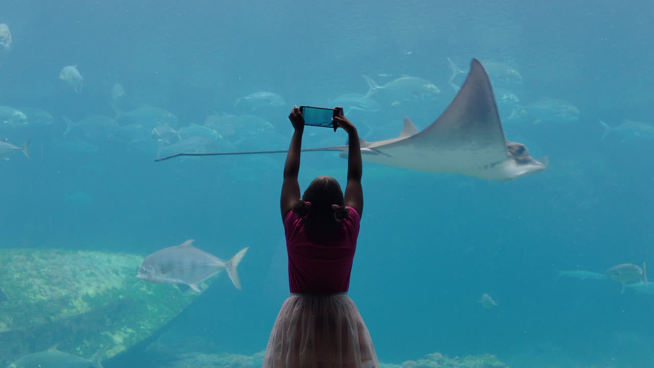 niña tomando fotos de peces en el acuario usando un teléfono inteligente fotografiando animales marinos nadando en el tanque aprendiendo sobre la vida marina en el hábitat acuático divirtiéndose en el oceanario