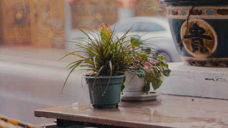 rainy serenity: a delightful street scene with a potted plant