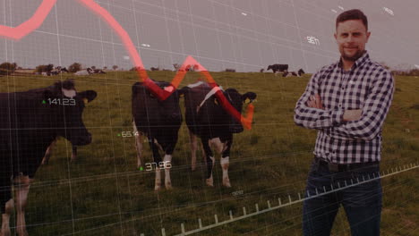 financial data graph animation over farmer standing in field with cows