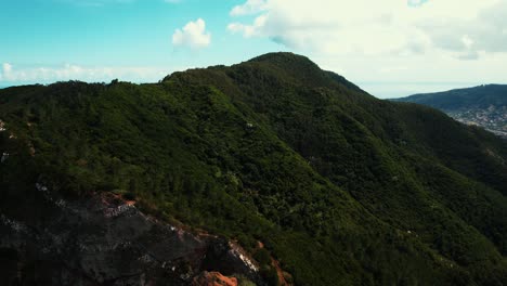 drone above a cliff that passes above the forest